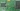 tek_ids's Avatar